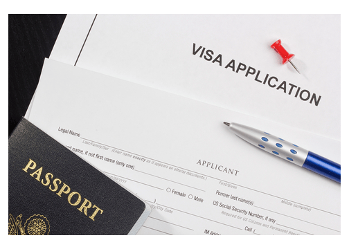 Blank visa application