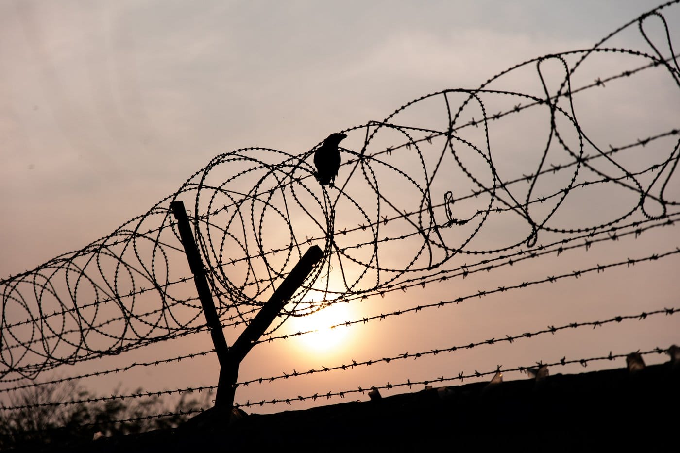 A barbed wire fence.