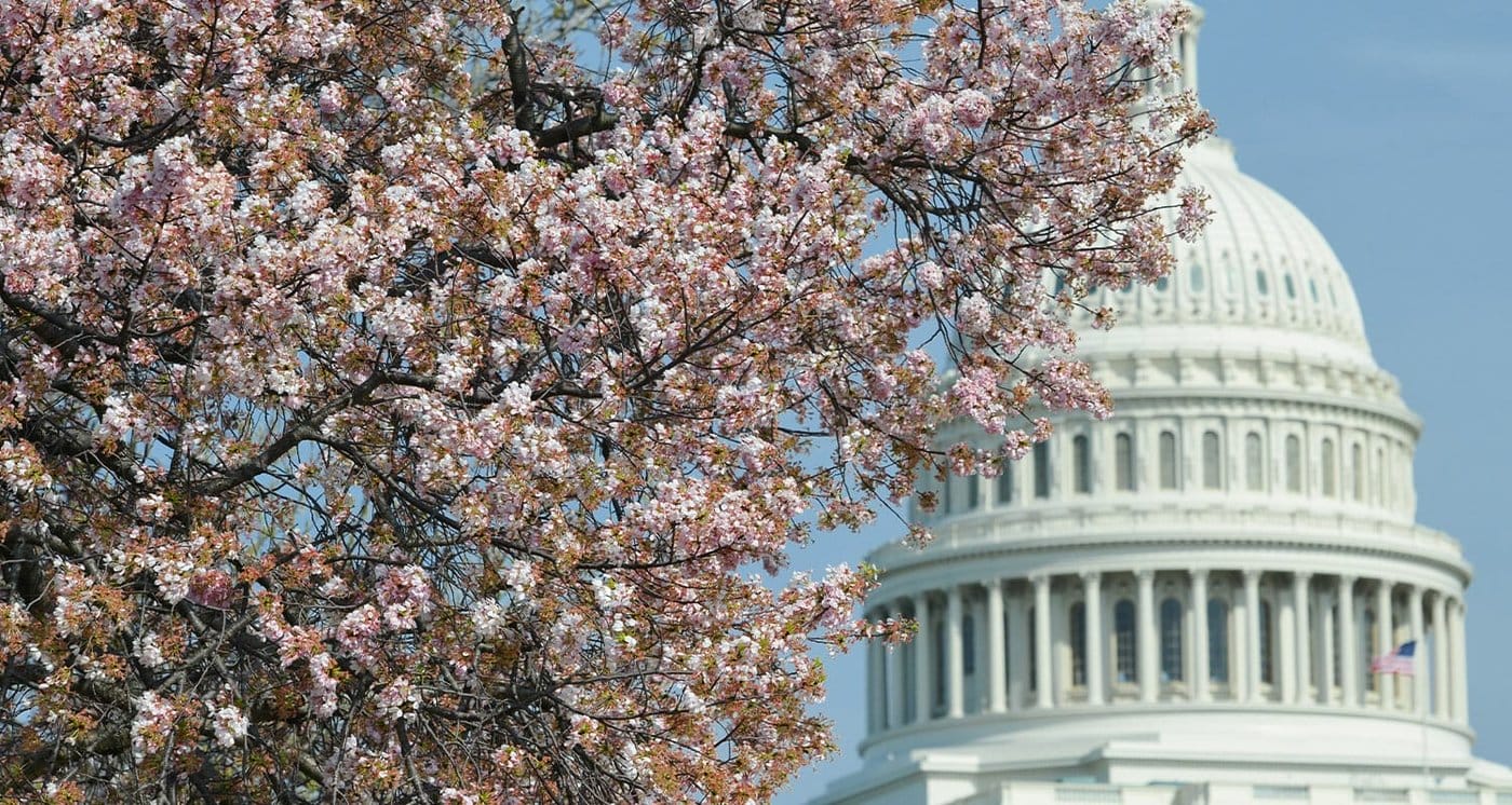 US Capitol Building