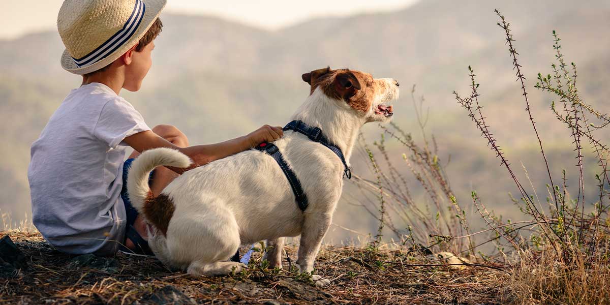 A boy and his dog