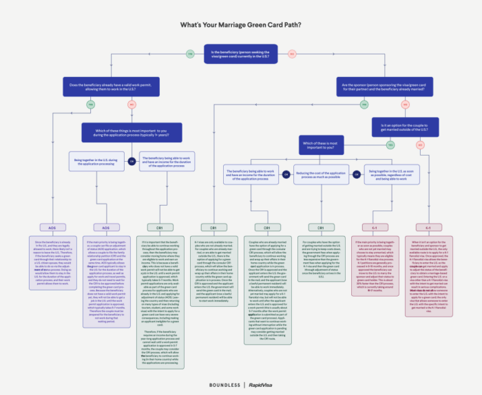 Immigration Flow Chart Preview