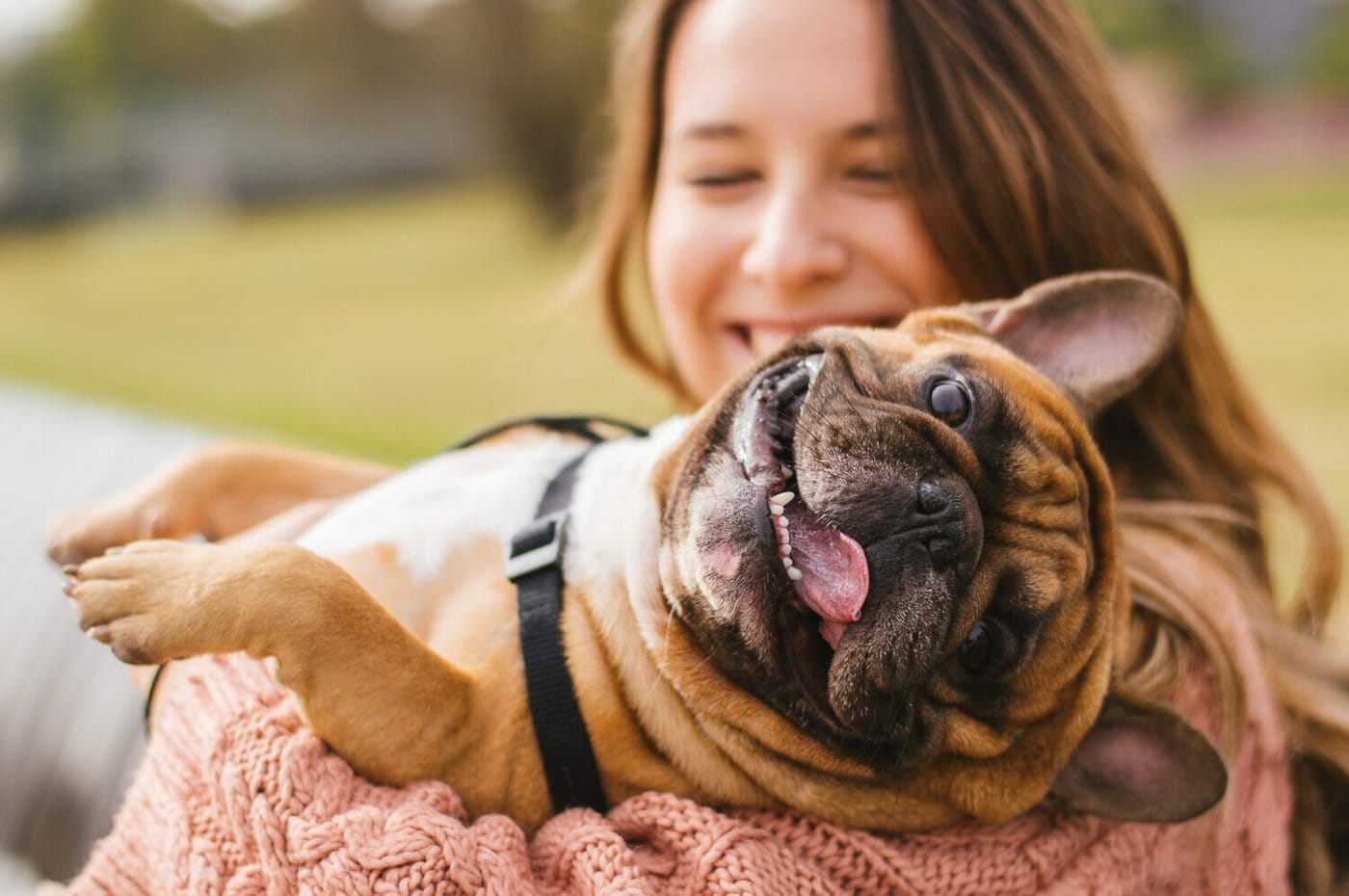 An immigrant with her pet