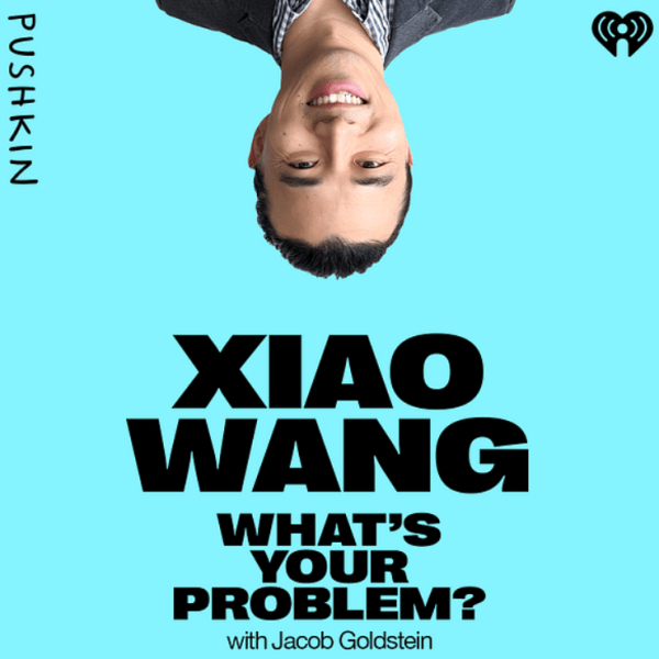 Boundless CEO Xiao Wang on the What's Your Problem podcast