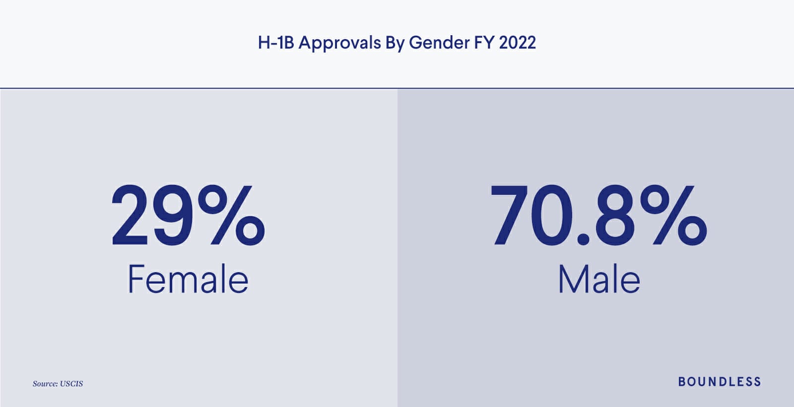 H-1B Visa Gender